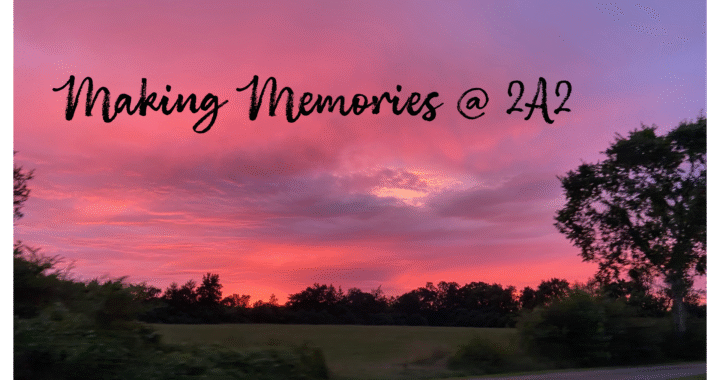 Pink and purple vibrant sunset