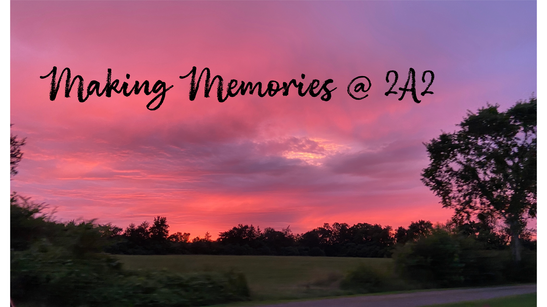 Pink and purple vibrant sunset