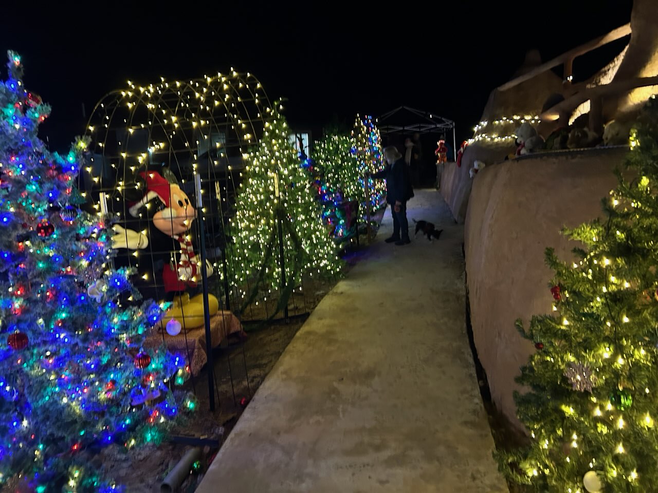 Nightime Christmas lights