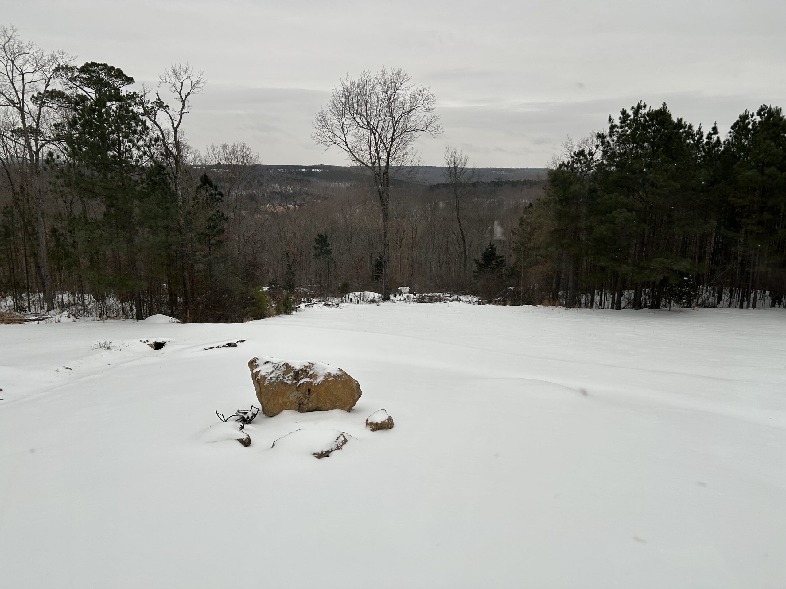Snow blanketed grass with winter trees and cloudy sky in the background.